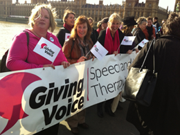 Giving Voice Campaign, Westminster October 18th 2011